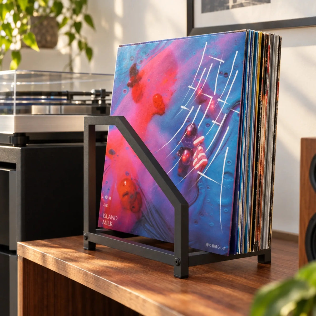 Support de rangement pour vinyles et affiches en métal