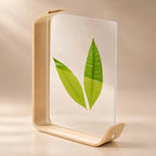 Chevalet d’exposition de table en plexiglas transparent