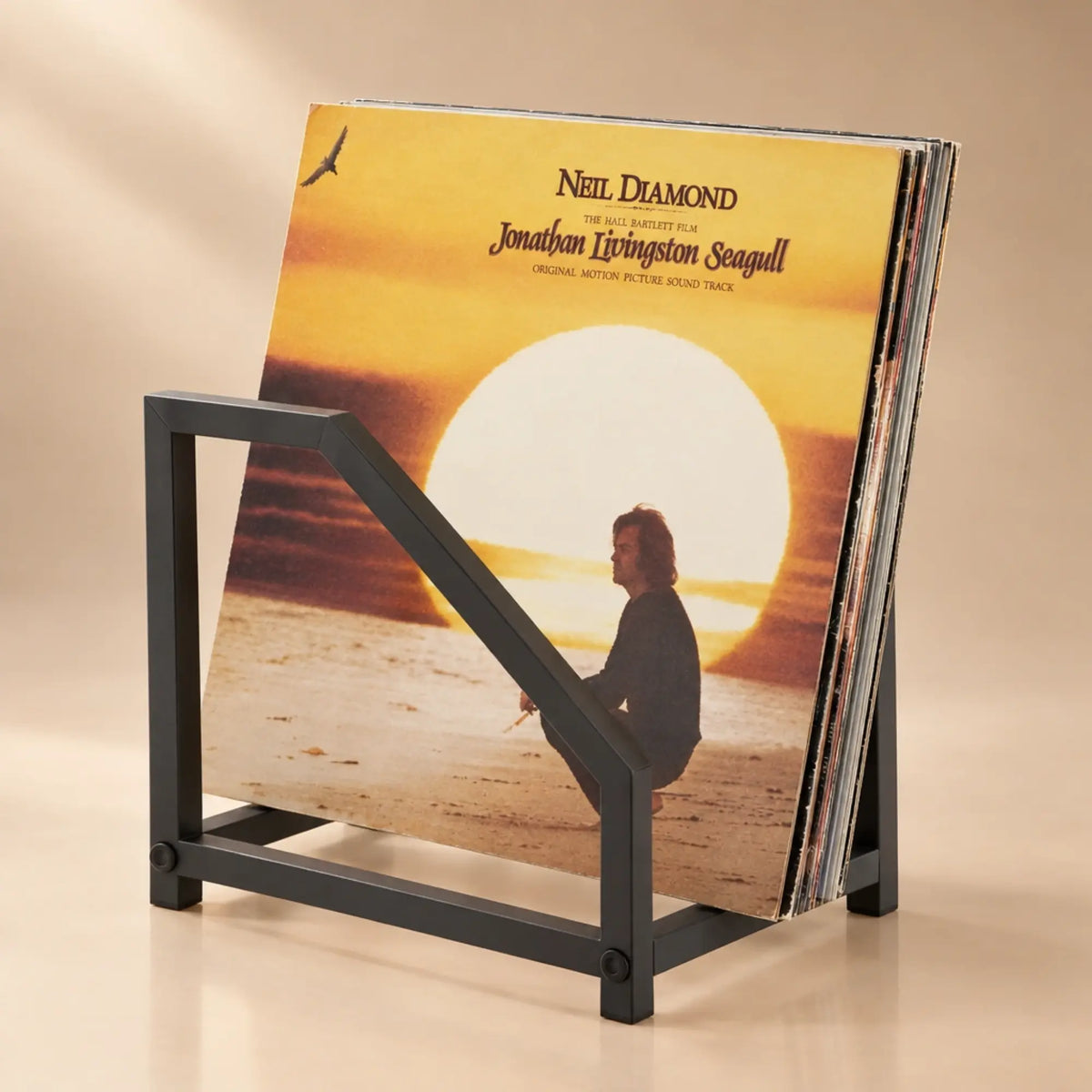 Support de rangement pour vinyles et affiches en métal