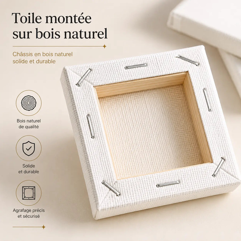 Mini toiles lot de 25 