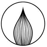 craie liquide couleurs intenses et visibles